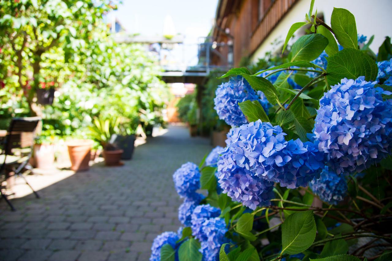 Beate'S Bed & Breakfast Münzenberg Екстериор снимка
