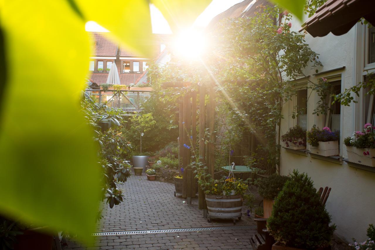 Beate'S Bed & Breakfast Münzenberg Екстериор снимка